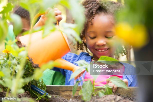 African descent children gardening outdoors in spring.