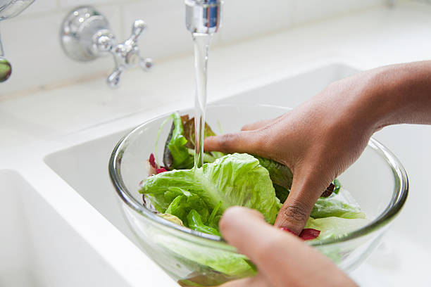 African female rinsing lettuce. stock photo