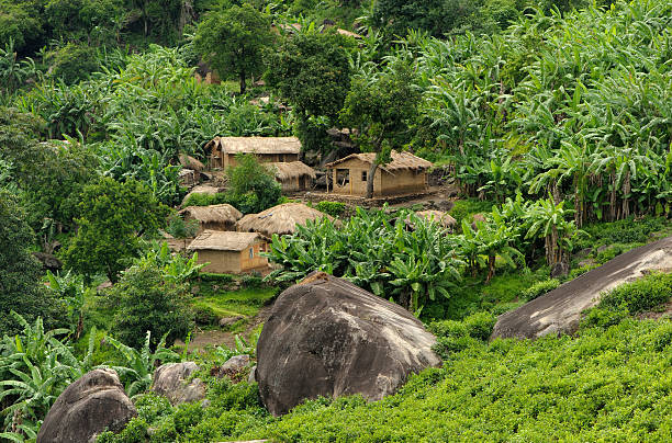 African huts in hills stock photo