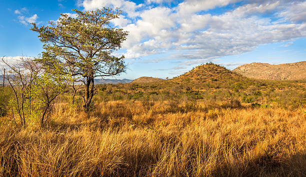 African Landscape stock photo