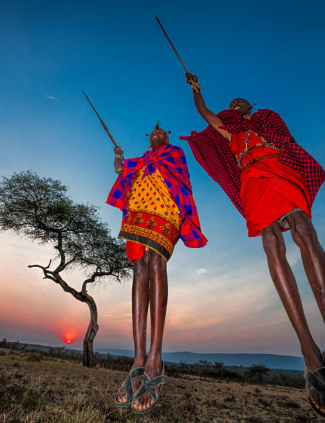 African masai people are dancing and jumping Masai Mara, Kenya - July 20, 2013 - An unidentified African masai men are posing for the money when they are dancing at masai village in front of acacia tree and sunrise, very close the masai mara national reserve at oloolaimutia gate on July 20, 2013 in Masai Mara, Kenya. The Masai people are a Nilotic ethnic group of semi-nomadic people located in Kenya and Tanzania. masai warrior stock pictures, royalty-free photos & images