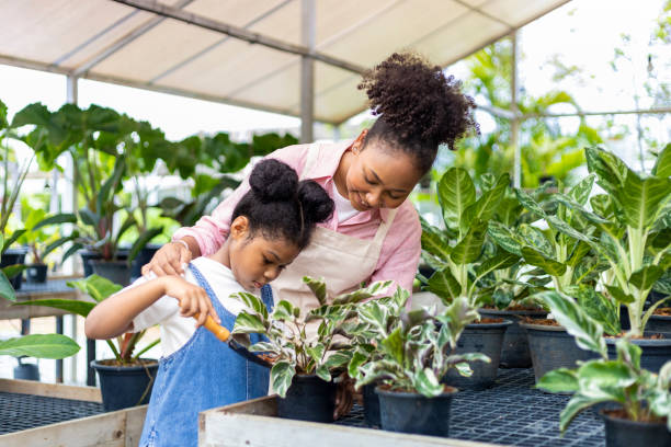 African mother is teaching her daughter to grow ornamental houseplant using trowel to put organics compost in their own nursery garden center stock photo