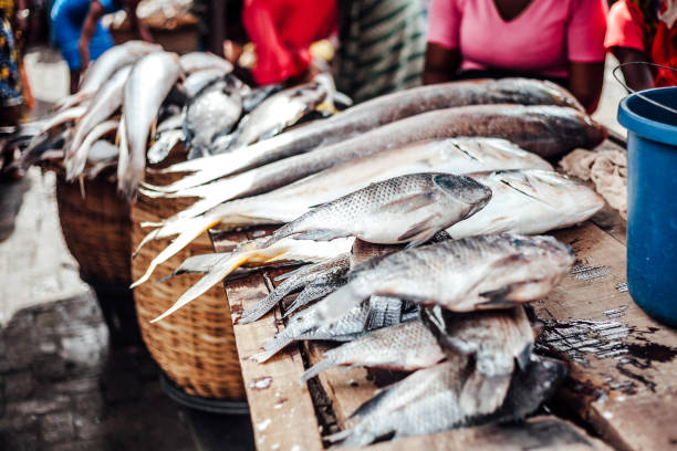 African seafood at market - Lagos, Nigeria stock photo