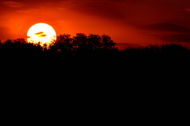 African sunset stock photo