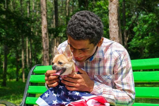 Afro American man holding a chihuahua dog wrapped in USA flag Handsome smiling young afro American man holding a chihuahua dog wrapped in USA flag outdoors in summer national dog day stock pictures, royalty-free photos & images