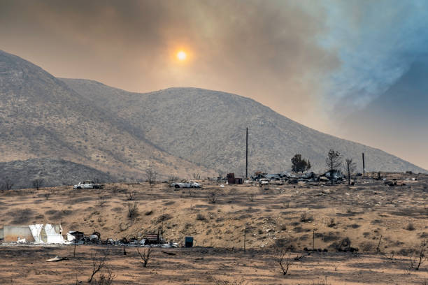 Aftermath of a wildfire in the California desert. stock photo