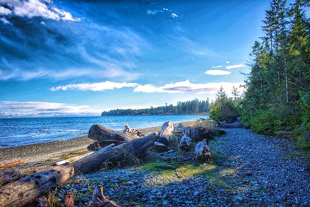 Afternoon at a Beach in Northern Vancouver Island stock photo