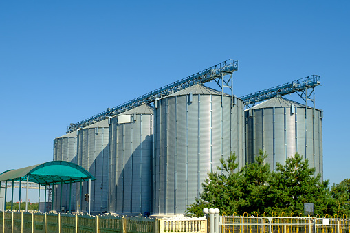Agribusiness concept. Agro manufacturing plant for processing drying cleaning and storage of agricultural products, flour, cereals and grain. Granary elevator.