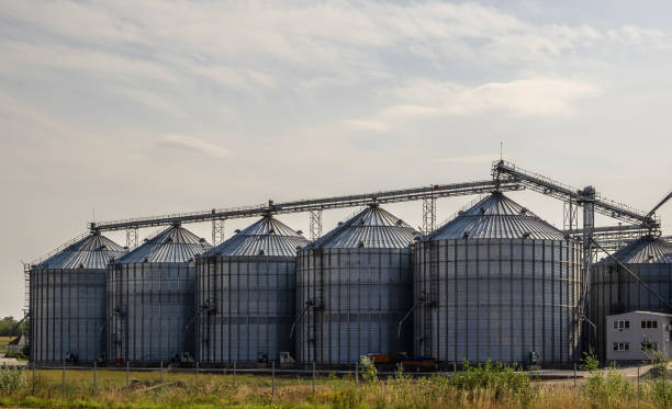 Agricultural complex. Elevator for grain storage. stock photo