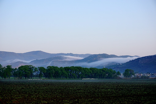 Agricultural field with trees and mist over the mountains