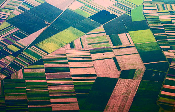 Agricultural fields from airplane stock photo