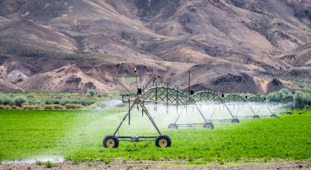 agrarische irrigatie van een veld in droge platteland - irrigatiesysteem stockfoto's en -beelden