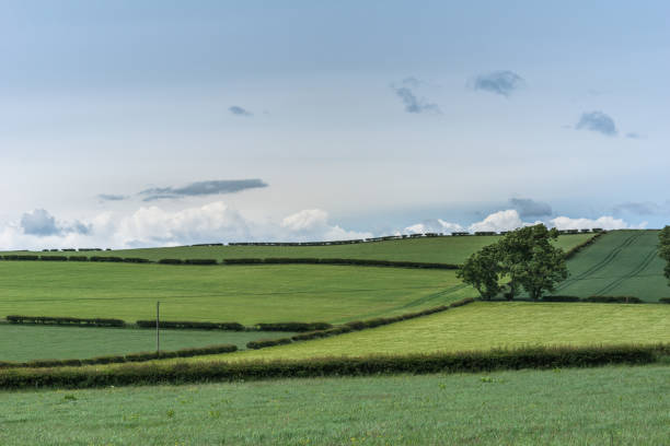 terreni agricoli visti dal castello di caerlaverock sotto il cielo blu, scozia uk. - dumfries foto e immagini stock