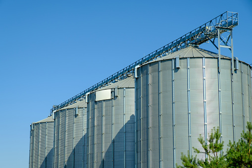 Agricultural Silos. Storage tanks agricultural crops processing plant. Agribusiness concept.