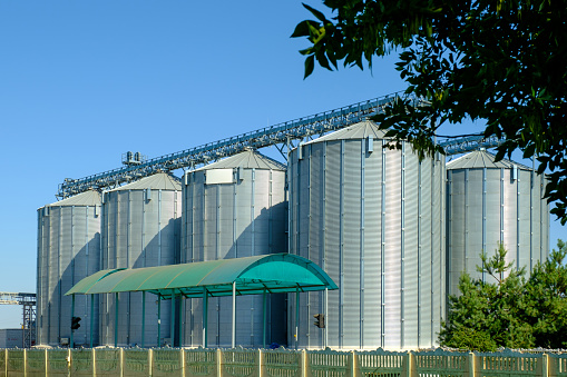 Agricultural Silos. Storage tanks agricultural crops processing plant. Agribusiness concept.