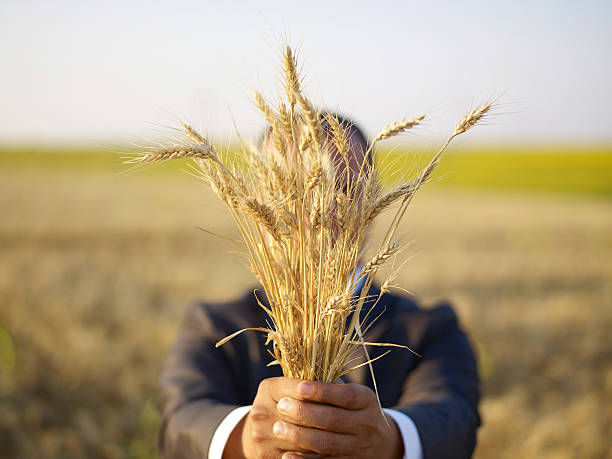 farm land loans connecticut