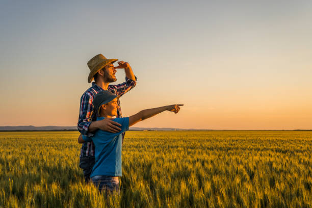 Agriculture Father and son are standing in their growing wheat field. They are happy because of successful sowing and enjoying sunset. plantation stock pictures, royalty-free photos & images