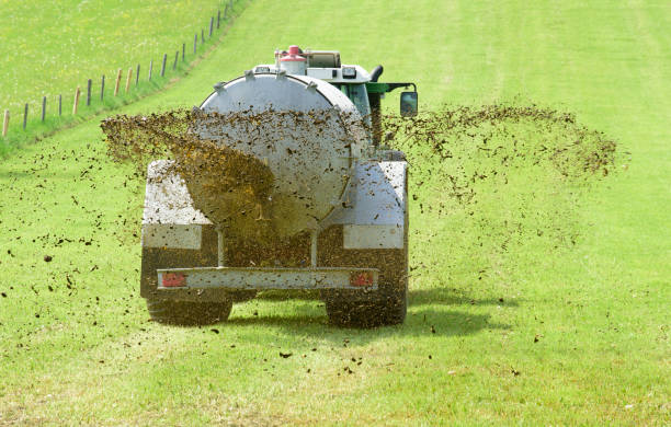 agriculture with tractor and fertilization with manure on field stock photo