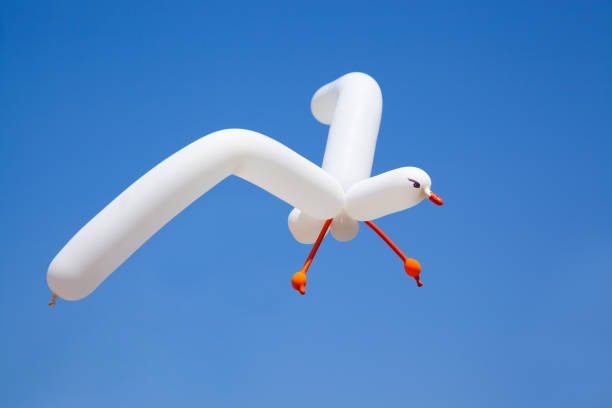 air balloon seagull pretending to fly stock photo