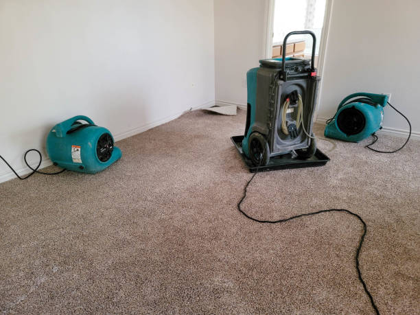 Air Movers and Dehu Two air movers and a dehumidifier drying a home. restoring stock pictures, royalty-free photos & images