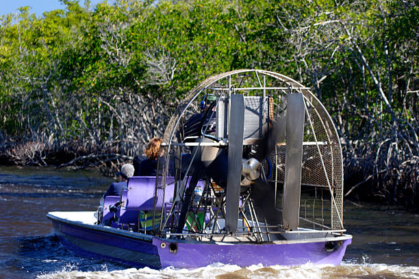 Airboat 2 stock photo