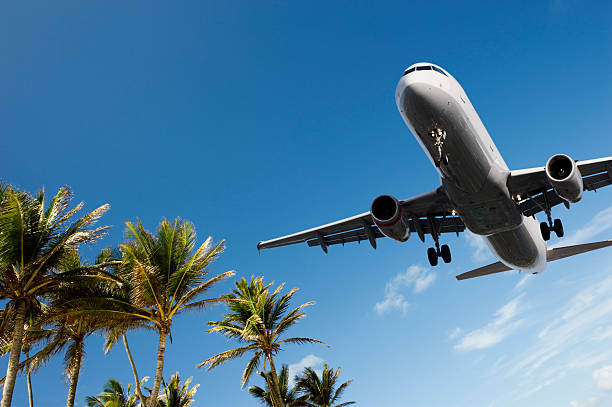 Airliner Landing Passing Over Palm Trees stock photo