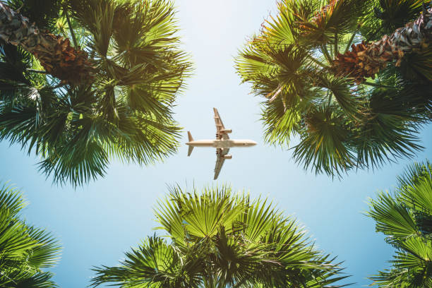полет самолета. тропические каникулы. - путешествия стоковые фото и изображения