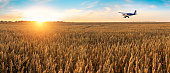 istock Airplane flying above the golden wheat field and blue sky with picturesque clouds. Beautiful summer landscape. Treatment, watering and spraying of fields with pesticides. Crop protection from pests. Time of harvest. 806907396