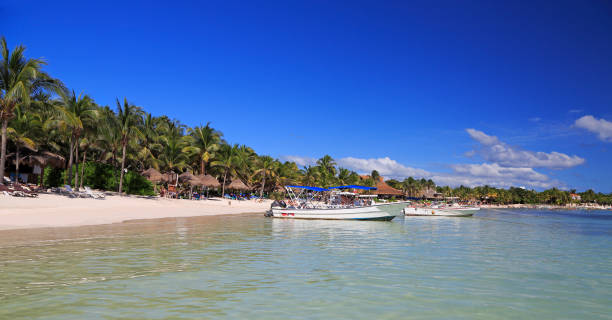akumal bay and caribbean white beach in riviera maya, mexico - maya bay imagens e fotografias de stock
