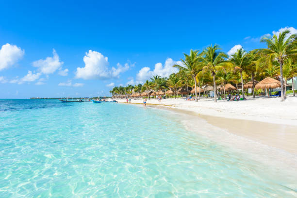 Akumal beach - paradise bay Beach in Quintana Roo, Mexico - caribbean coast stock photo