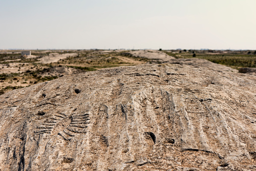 Close ups of Al Jassasiya Rock Carvings or petroglyphs, Qatar.