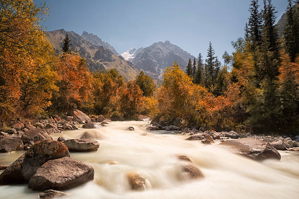 Ala Archa National Park, Kyrgyzstan The Ala Archa National Park is an alpine national park in the Tian Shan mountains of Kyrgyzstan, established in 1976 and located approximately 40 km south of the capital city of Bishkek. tien shan mountains stock pictures, royalty-free photos & images