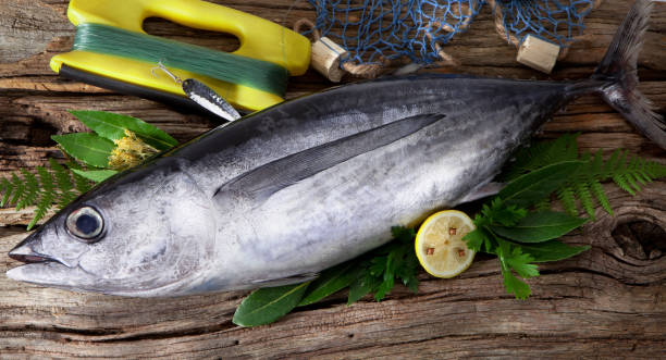pesce albacore (tunnus alalunga) - tonnetto foto e immagini stock