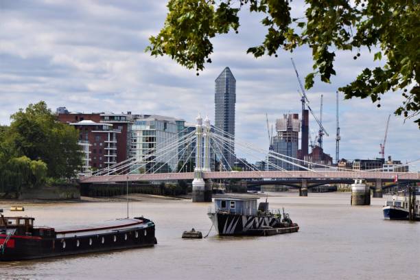 albert bridge and river thames, londyn, wielka brytania - fulham zdjęcia i obrazy z banku zdjęć