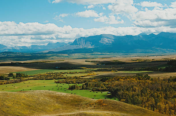 Alberta valley and mountain view stock photo