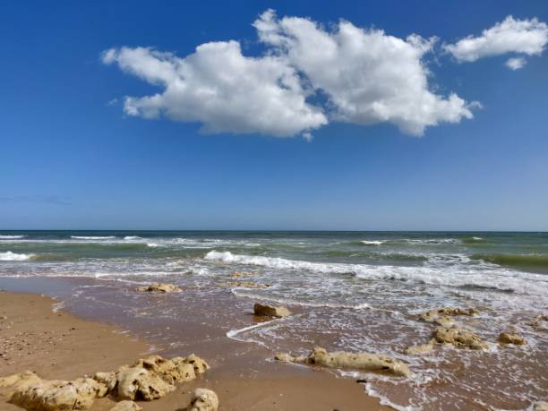Albufeira beach water's edge. stock photo