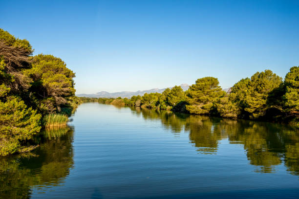 S'Albufera Natural Park lagoon near Alcudia, Mallorca Europe island holiday travel destinations, Mediterranean sea resorts, natural parks and reserves, Balearic islands attractions, Majorca nature and outdoors albufera stock pictures, royalty-free photos & images