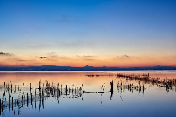 Albufera of Valencia Landscape at sunset in the Albufera de Valencia, Spain albufera stock pictures, royalty-free photos & images