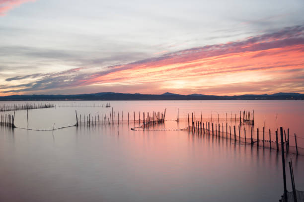 Albufera of Valencia Albufera of Valencia albufera stock pictures, royalty-free photos & images
