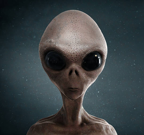 alien alien alien photos stock pictures, royalty-free photos & images