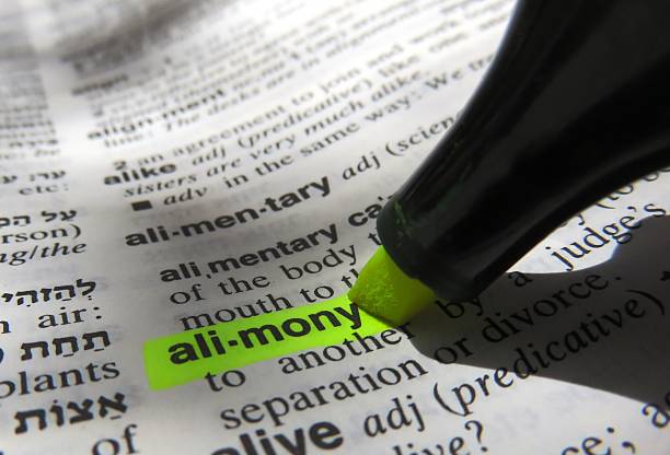 Alimony, dictionary definition stock photo