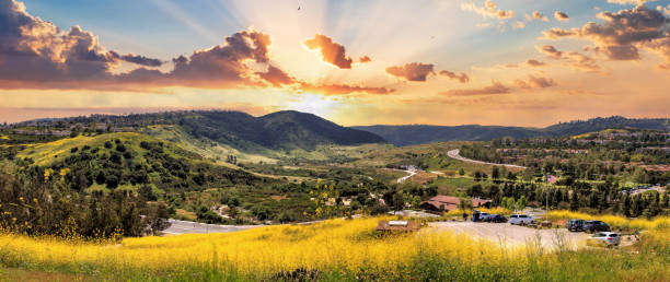 Aliso Viejo Wilderness Park view with yellow wild flowers stock photo