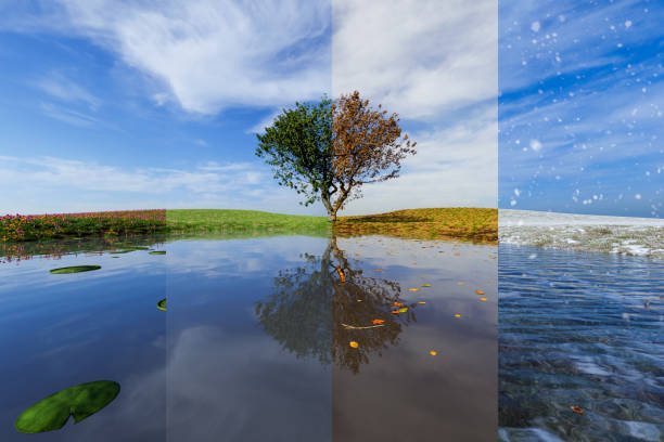 All seasons in one photo. Winter, spring, summer and autumn. stock photo