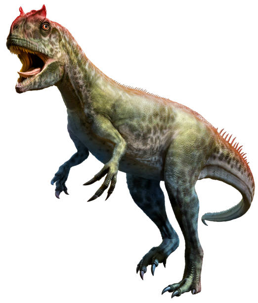 Allosaurus 3D illustration stock photo