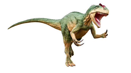 Allosaurus fragilis with attack or aggressive pose isolated on white background. Dinosaur realistic and scientific reconstitution. 3D rendering illustration.
