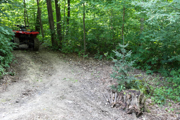 All-terrain vehicle parked on a woodland trail. stock photo