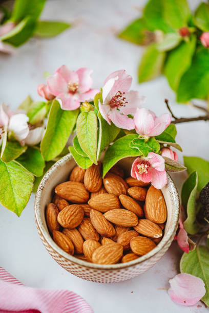 Almonds and Almond Flowers stock photo