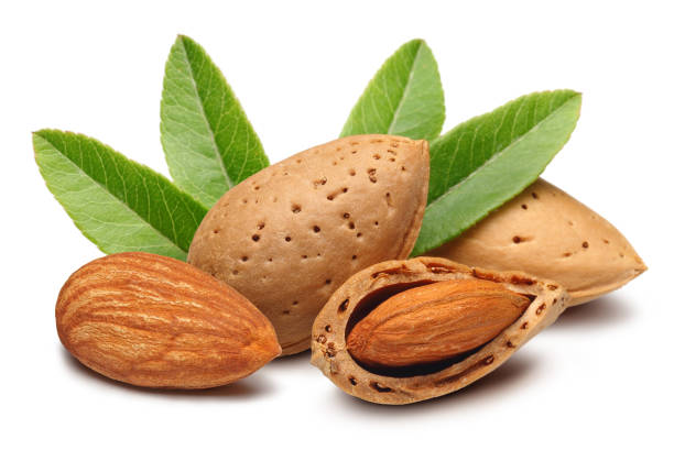 580 Almond Almond Tree Nut Turkey Stock Photos, Pictures & Royalty-Free  Images - iStock