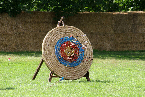 Image result for straw archery target