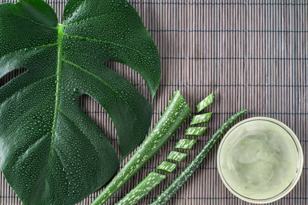 Aloe vera gel with aloe vera leaves on wooden table. Natural cosmetic ingredients. Fresh aloe vera plant on wooden board, flat lay. stock photo